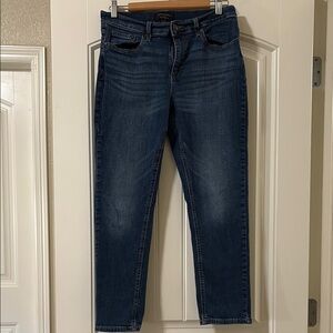 Banana Republic Blue Denim Girlfriend Jeans